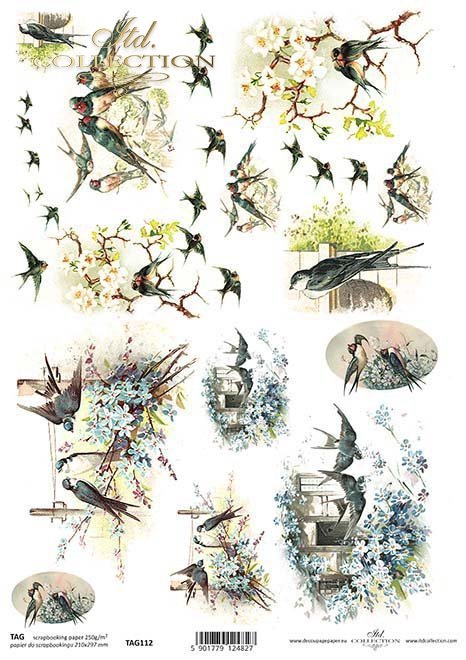 papel para scrapbooking TAG0112