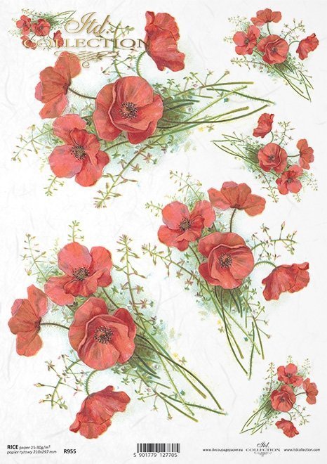 mak, maki, makowe, kwiat, łąka, ogród, lato, R955, poppy, flower, meadow, garden, summer, Mohn, Mohnblume, Blume, Wiese, Garten, Sommer, amapola, flor, prado, jardín, verano