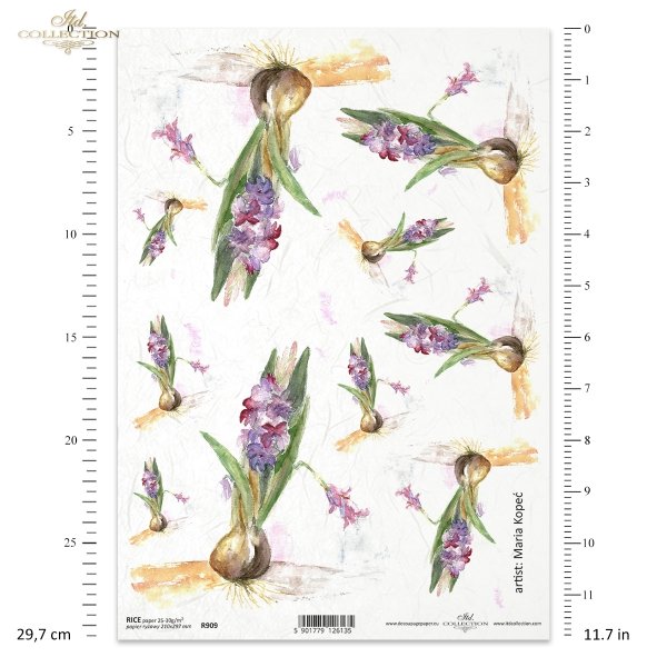 hiacynt, kwiat, ogród, łąka, wiosna, autorka grafiki Maria Kopeć, R909, hyacinth, flower, garden, meadow, spring, Hyazinthe, Blume, Garten, Wiese, Frühling, jacinto, flor, jardín, prado, primavera