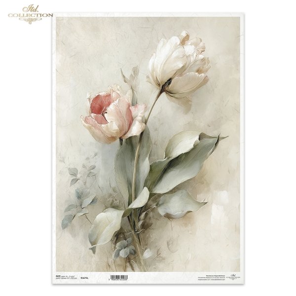 Papel de arroz decoupage A3 R1675L