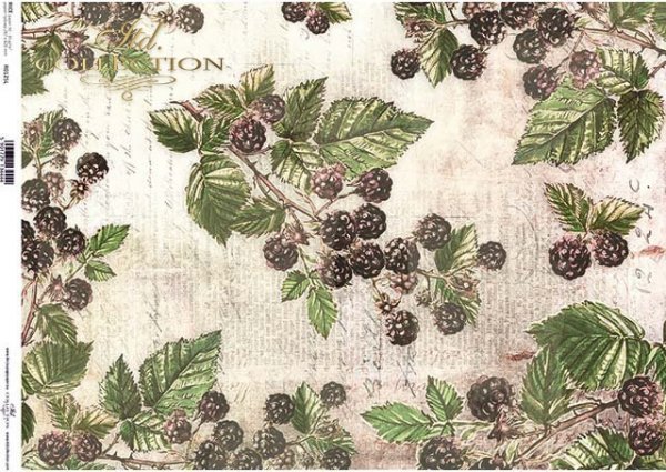 Fruta de decoupage de papel, moras silvestres*Бумага декупажа фруктов, ягоды ежевики*Papier decoupage Frucht, wilde Brombeeren