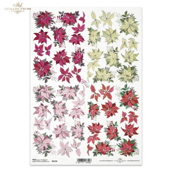 poinsecja, gwiazda betlejemska, kwiat, klimat Bożego Narodzenia, poinsettia, star of Bethlehem, flower, Christmas spirit, Weihnachtsstern, Stern von Bethlehem, Blume, Weihnachtsstimmung, poinsettia, estrella de Belén, flor