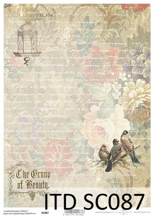 papel para scrapbooking SC0087