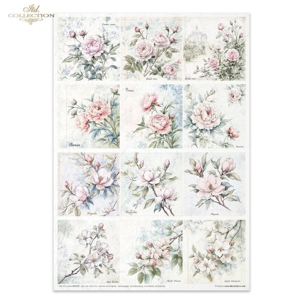 Conjunto Creativo MS048 - Floral Shabby Chic