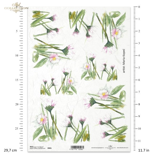 stokrotka, stokrotki, kwiat, ogród, łąka, wiosna, autorka grafiki Maria Kopeć, R901, daisy, daisies, flower, garden, meadow, spring, Gänseblümchen, Blume, Garten, Wiese, Frühling, margaritas, flor, jardín, prado, primavera