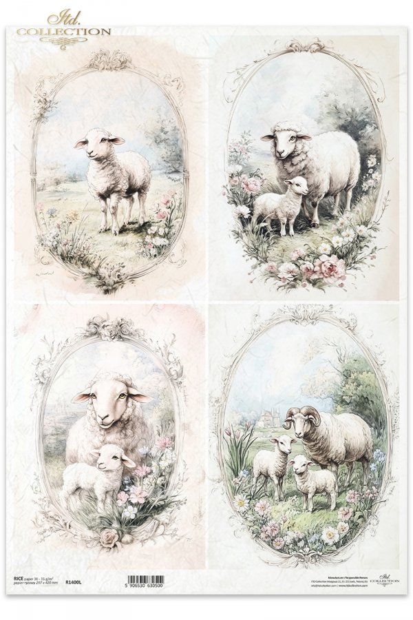 owce, wiejskie zwierzęta, wiosenne klimaty, rustykalny styl*sheep, countryside animals, springtime climate, rustic style*Schafe, Tiere auf dem Lande, Frühlingsklima, rustikaler Stil*ovejas,  animales de campo, clima primaveral, estilo rústico