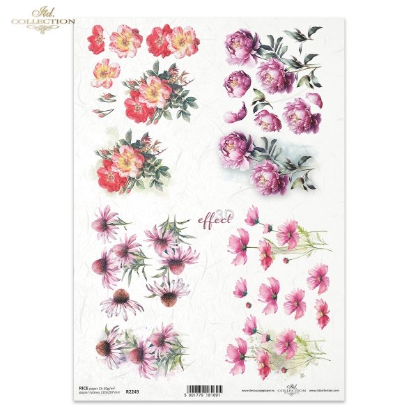 akwarelowe tła, wiosna, wiosenne kwiaty, ogród, echinacea, peonia, warszawianka, kosmos pierzasty, dzika róża, kwiaty 3D, 3D efekt, Summer Love Story, watercolour backgrounds, spring, spring flowers, garden, echinacea, peony