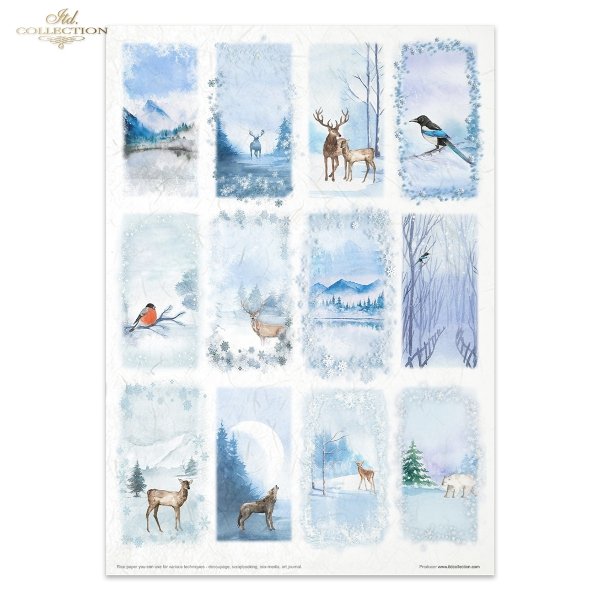 Conjunto Creativo RP083 Winter animals