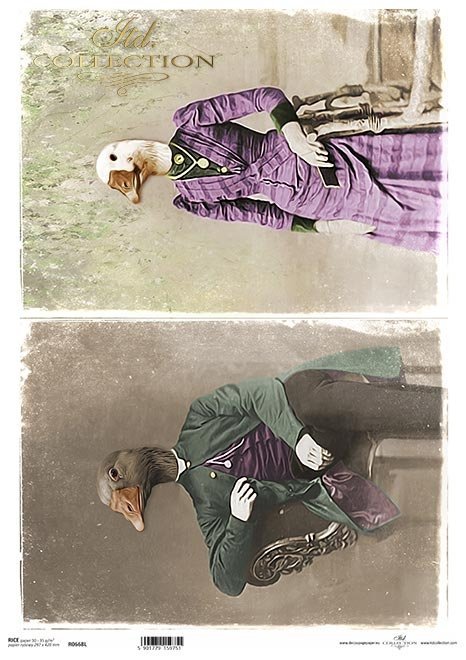 zwierzęta retro, zwierzęta w strojach, zoomorfizm, vintage, gąska, gąsior*retro animals, animals in costume, zoomorphism, vintage, goose