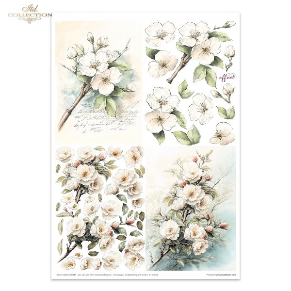 Conjunto Creativo MS047 - Cottage in the Country