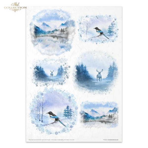 Conjunto Creativo RP083 Winter animals