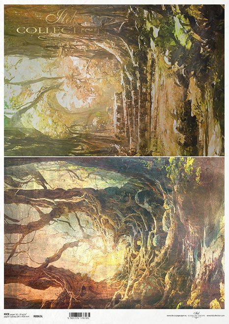 Seria - Mysterious forest - tajemniczy las, drzewa, lasy, rośliny*Series - Mysterious forest - trees, woods, plants*Serie - Mysteriöser Wald - geheimnisvoller Wald, Bäume, Wälder, Pflanzen*Serie - Bosque misterioso - árboles, bosques, plantas