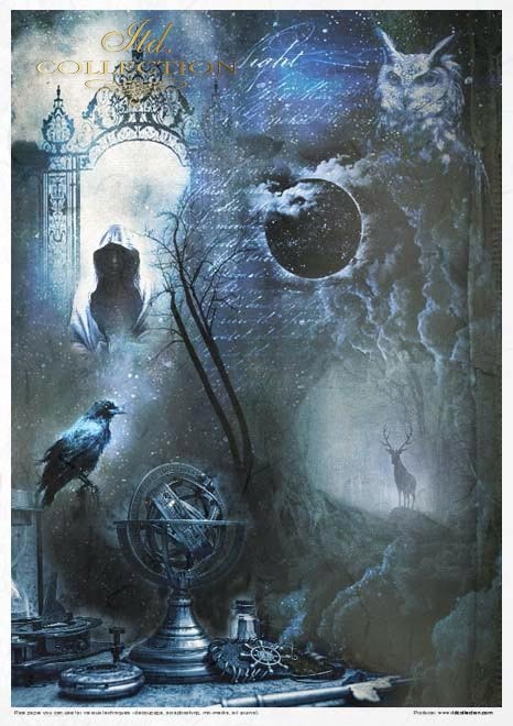 Nieodkryty magiczny świat, astrologia, niebo, konstelacje, gwiazdozbiór, mityczne zwierzęta, znaki zodiaku, hipogryf, zamek Drakuli, smok, smoki, skóra smoka, smocza łuska, złoty smok, napisy, litery, runy, alfabet runiczny, wierzenia nordyckie, las, jele