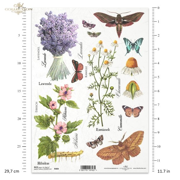 łąka, rośliny, motyl, motyle, rumianek, hibiskus, lawenda, kwiat, kwiaty, zioła, ziółka, R404