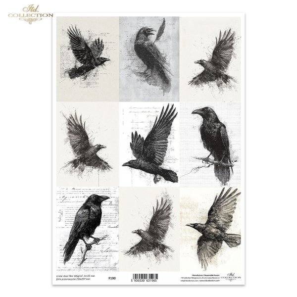 Grafiki, kruki, wrony, ptaki, szkice, czarno-białe*Graphics, ravens, crows, birds, sketches, black and white