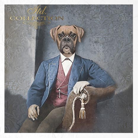 zwierzęta retro, zwierzęta w strojach, zoomorfizm, wiktoriańskie, jamniczka, gąska, kotek, sfinksy, kruki, pies bokser*retro animals, animals in costume, zoomorphism, Victorian, dachshund, goose, kitten, sphinxes, ravens, boxer dog