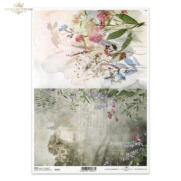 polne kwiaty, pismo, napisy, widoczek, akwarela, akwarele, tło, tła, zioła, łąka, rośliny, field flowers, writing, inscription, view, watercolour, background, herbs, meadow, plants, Feldblumen, Schrift, Inschrift, Ansicht, Aquarell, Hintergrund