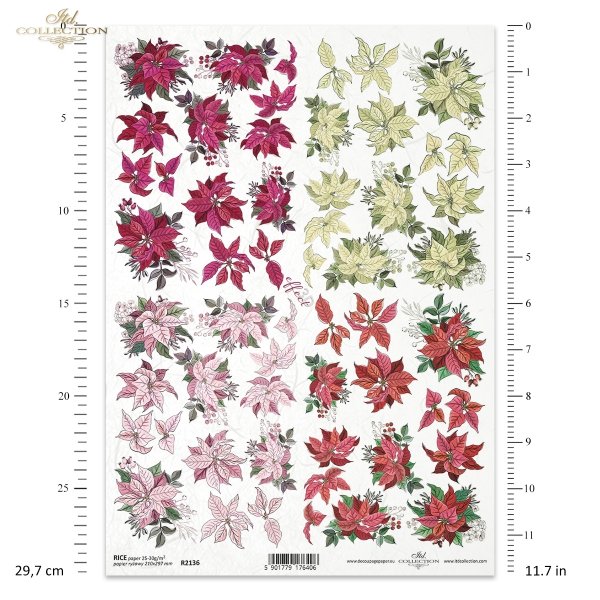poinsecja, gwiazda betlejemska, kwiat, klimat Bożego Narodzenia, poinsettia, star of Bethlehem, flower, Christmas spirit, Weihnachtsstern, Stern von Bethlehem, Blume, Weihnachtsstimmung, poinsettia, estrella de Belén, flor