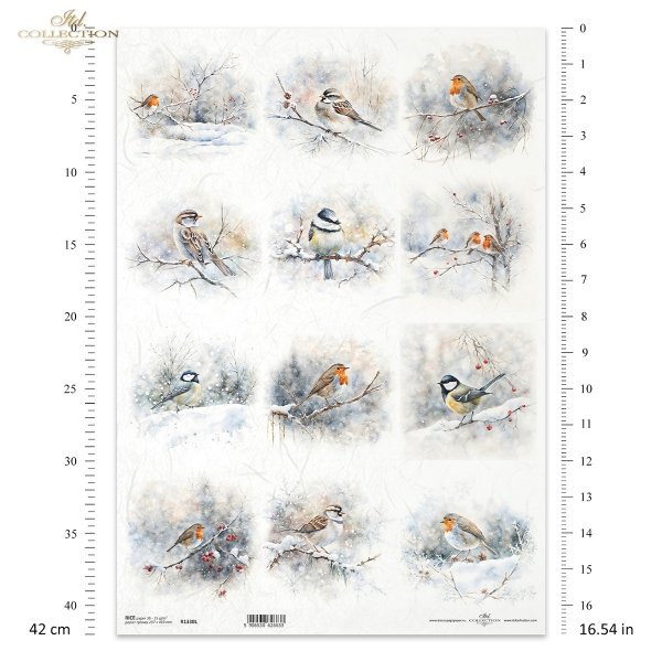 zimowe ptaki, rudzik, sikora, wróbel*winter birds, redshank, titmouse, sparrow*Wintervögel, Rotschenkel, Meise, Sperling*aves de invierno, archibebe común, carbonero común, gorrión común