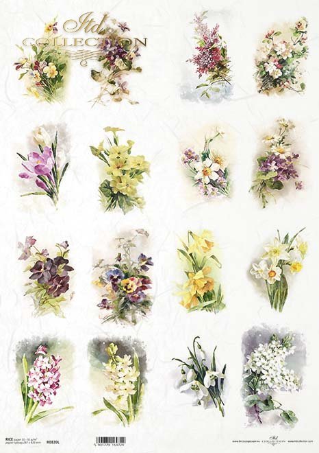 wiosenne kwiaty, fiołki, bratki, przebiśniegi, pierwiosnek, żonkile, krokusy, hiacynty, kwiaty wiśni*spring flowers, violets, pansies, snowdrops, primroses, daffodils, crocuses, hyacinths, cherry blossoms