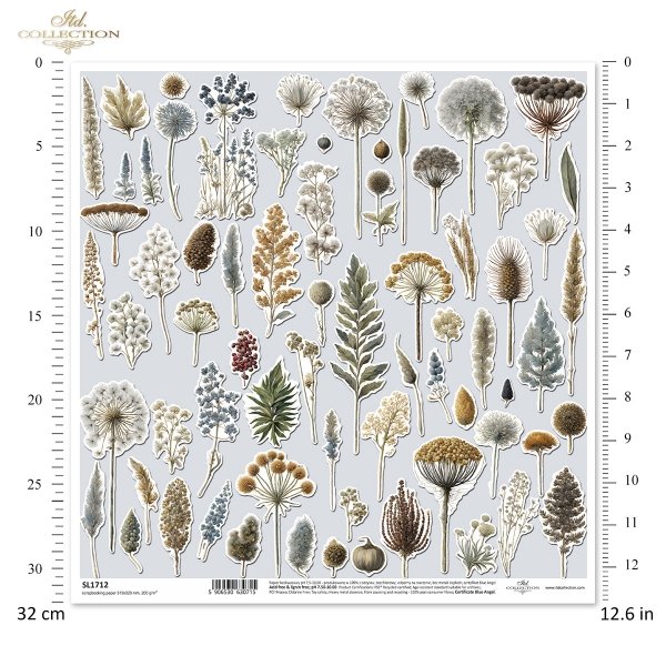 ususzone kwiatki, zioła, rośliny, suszki*dried flowers, herbs, plants, dries*Trockenblumen, Kräuter, Pflanzen, getrocknet*flores secas, hierbas, plantas, seca