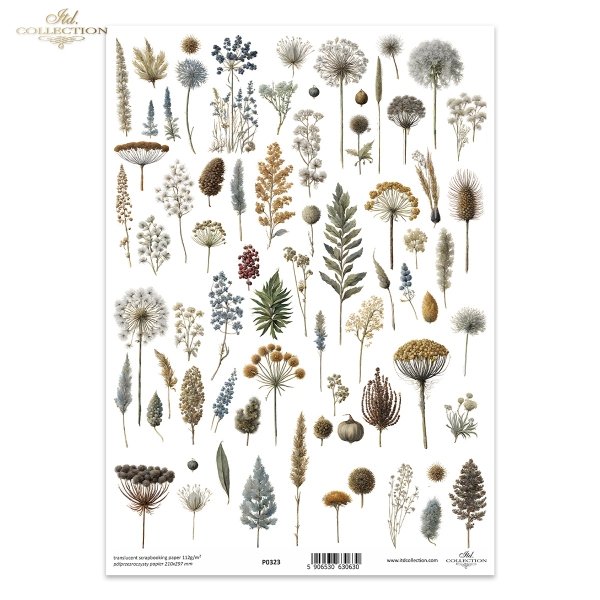 ususzone kwiatki, zioła, rośliny, suszki*dried flowers, herbs, plants, dries*Trockenblumen, Kräuter, Pflanzen, getrocknet*flores secas, hierbas, plantas, seca