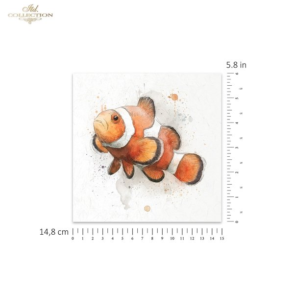 conjunto de papeles de arroz RSM272