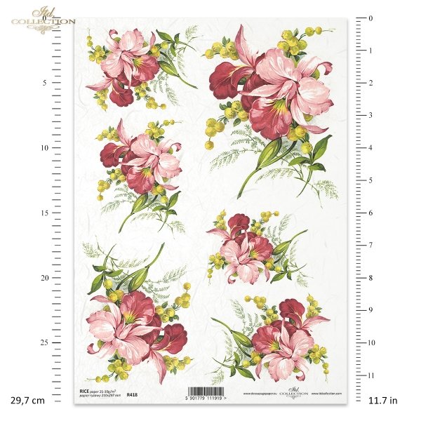 orchidea, storczyk, orchidee, storczyki, kwiat, kwiaty, kwiatek, kwiatki, listki, liście, płatki kwiatów, R418