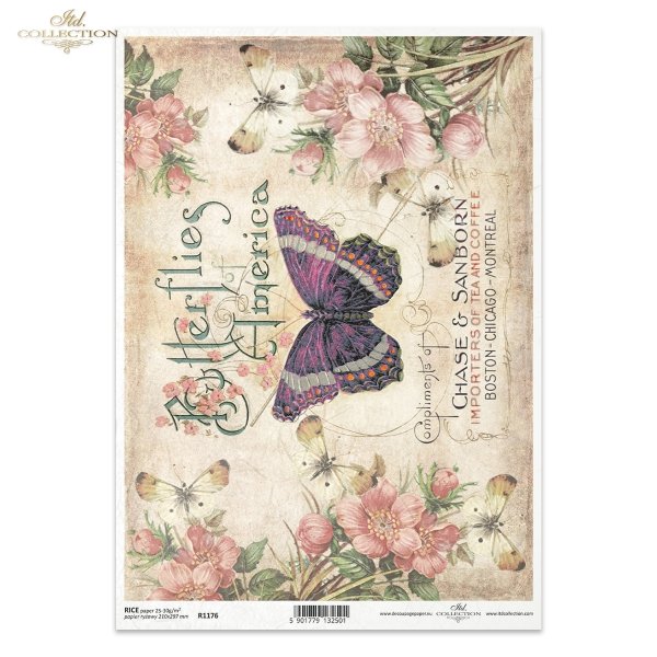 motylek, motylki, kwiat, kwiatek, kwiatki, łąka, ogród, napisy retro, lato, butterfly, butterflies, flowers, meadow, garden, lettering, summer, subtitles, inscriptions, Schmetterlinge, Blumen, Wiese, Garten, Retro-Lettering