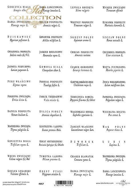 zioła po polsku i łacińsku*herbs in Polish and Latin*Kräuter auf Polnisch und Latein*hierbas en polaco y latín
