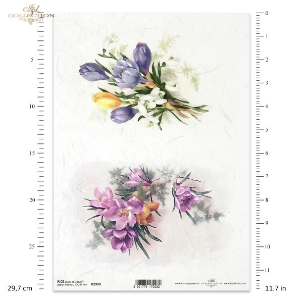 wiosenne kwiaty, frezja, frezje, krokus, krokusy, przebiśnieg, przebiśniegi, łąka, ogród, wiosna, Flower Post, spring flowers, freesia, freesias, crocus, crocuses, snowdrops, meadow, garden, spring, Frühlingsblumen, Freesie