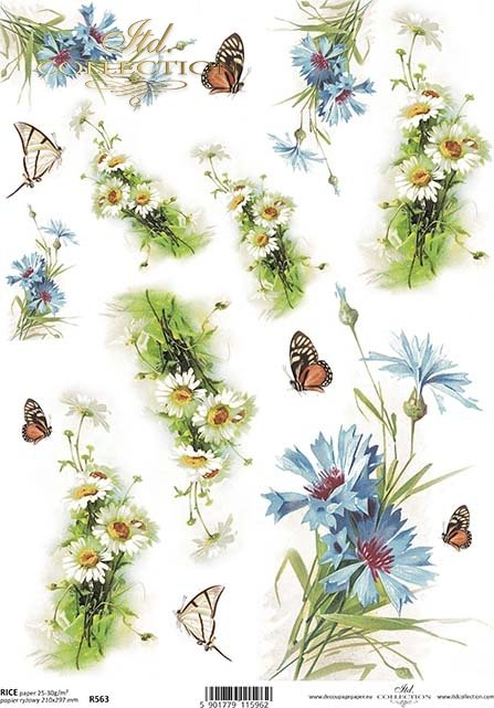 cornflower, marigold, butterfly, cornflowers, marigolds, butterflies, flower, flowers, leaf, leaves, flower petals, spring, R563 