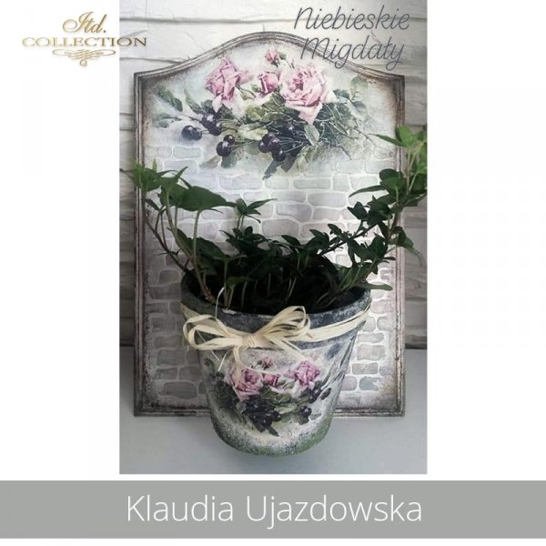 20190725-Klaudia Ujazdowska-R1103-example 03