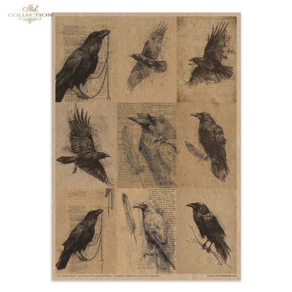 MS052 * Light &amp; Shadow part 2 - Światło i Cień