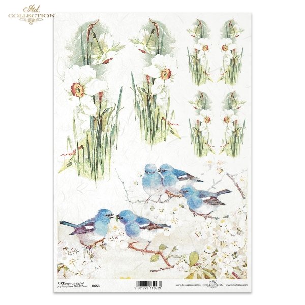 kwiat, biały żonkil, niebieski ptak, ptaszki, kwitnące gałązki, gałęzie w kwiatach, wiosna, R653, flower, white daffodil, blue bird, birds, blooming twigs, branches in blossom, spring, Blume, weiße Narzisse, blauer Vogel, Vögel, blühende Zweige, blühende 