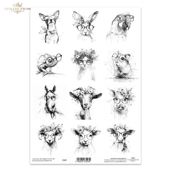 zwierzęta, okulary, kapelusze, wianki, czarno-białe, szkic, tusz, hipster, ilustracja, plakat, nowoczesny, grafika, portret, struś, kaczka, kogut, kura, sowa, alpaka, hipopotam, żyrafa, małpa, pingwin, nosorożec*animals, glasses, hats, wreaths, black and 