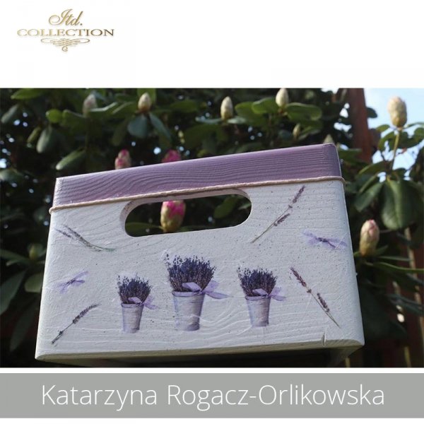 20190505-Katarzyna Rogacz-Orlikowska-R0040-example 03