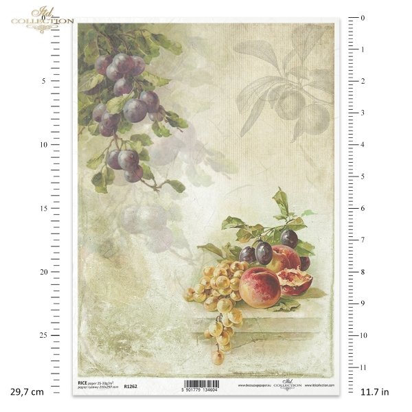 fruits, light grapes, bunch of grapes, plum, plums, peaches, still life, watercolours, Früchte, Obst, helle Trauben, Weintrauben, Pflaume, Pfirsiche, Stillleben, Aquarelle, fruta, uva clara, racimo de uvas, ciruelas