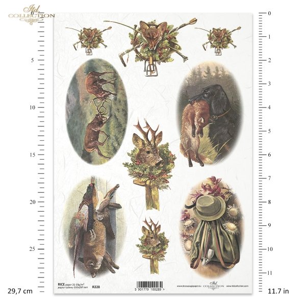 hunt,hunting, hunting costumes, hunting equipment, accessories for the hunter, dogs,