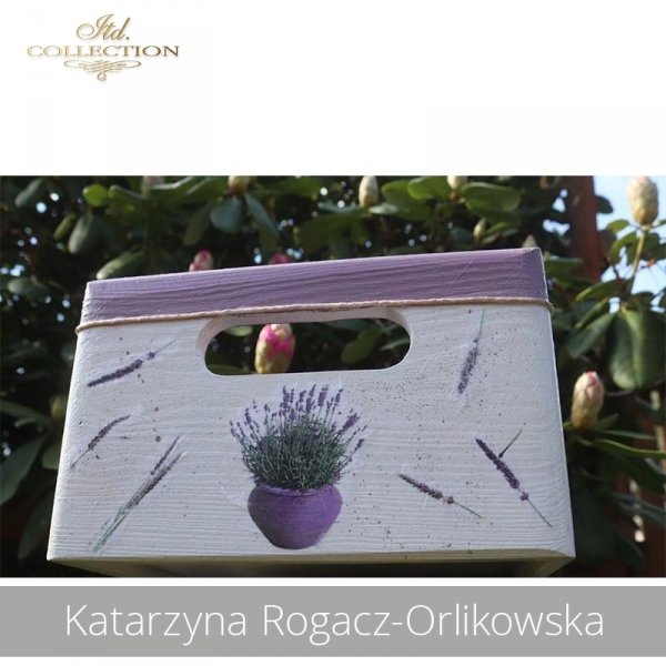 20190505-Katarzyna Rogacz-Orlikowska-R0151-example 03
