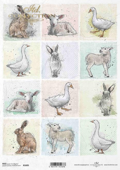 Pastelowe kolory, tagi, 12 małych obrazków, gęś, kaczka, królik, zając, owieczka, wiosna, Wielkanoc, wokół farmy