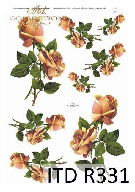 róża, róże, bukiety, kwiaty, R331