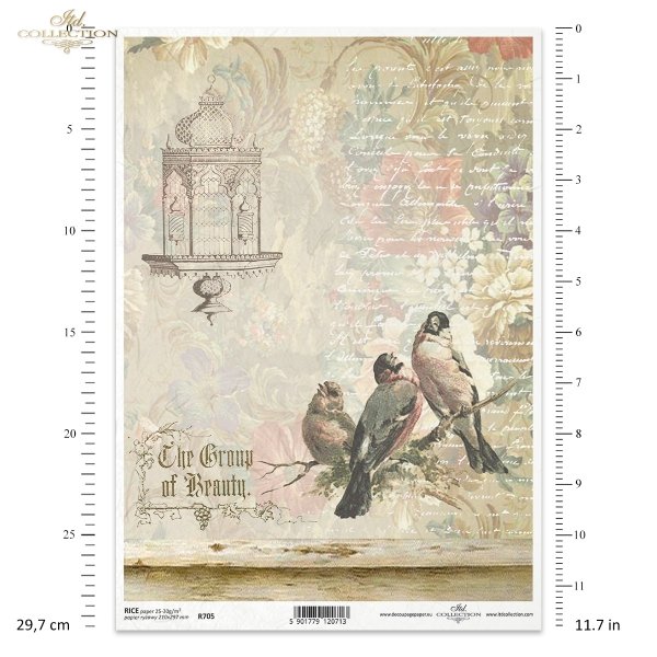 retro, ptak, klatka dla ptaków, ramka, tło, kwiat, ręczne pismo, R705, bird, birdcage, frame, background, flower, handwriting, Vogel, Vogelkäfig, Rahmen, Hintergrund, Blume, Handschrift, pájaro, jaula, marco, fondo, flor, escritura a mano