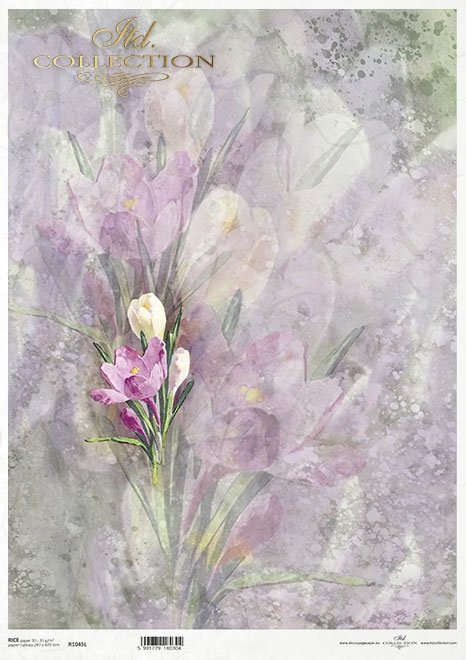 tło akwarelowe, wiosenne kwiaty*watercolour background, spring flowers*Aquarell-Hintergrund, Frühlingsblumen*fondo de acuarela, flores de primavera