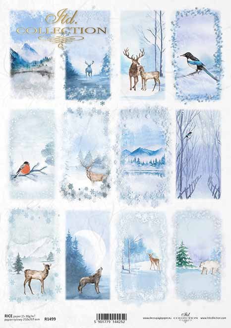 Vistas de invierno, animales, aves*Winteransichten, Tiere, Vögel*зимние виды, животные, птицы
