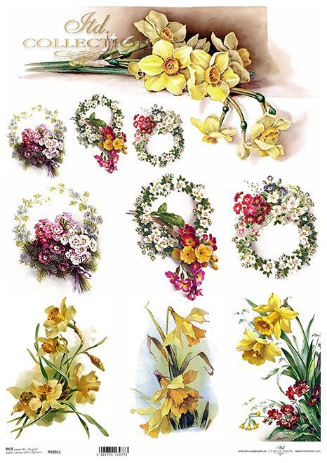 żonkile, wiosenne kwiaty, prymulki*daffodils, spring flowers, primulas*Narzissen, Frühlingsblumen, Primeln*narcisos, flores de primavera, prímulas