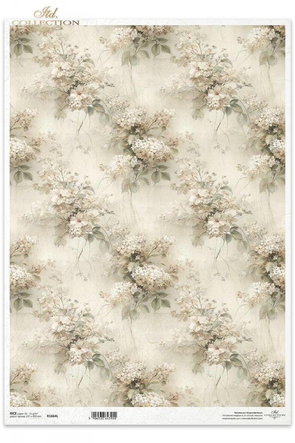 kwiaty, rośliny, vintage, beż, szałwia, botanika, tekstury, tło, wzory