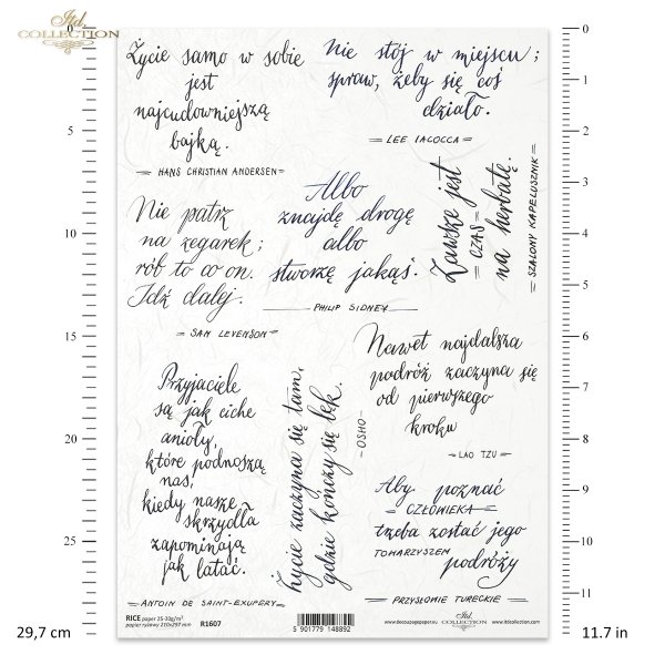 napisy, sentencje, mądre myśli wielkich ludzi, cytaty, piękne litery, kaligrafia Dorota Marciniak, subtitles, sentences, quotes, beautiful letters, calligraphy, Untertitel, Sätze, Zitate, schöne Buchstaben, Kalligraphie,  subtítulos, oraciones, citas, bel
