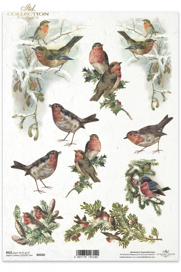 zima, zimowe, ptak, ptaki, gałązki, gałęzie, zima, ptaszek, ptaszki, R200, winter, bird, birds, twigs, branches, Navidad, Invierno, Temas de Navidad, fotos de Navidad, pájaros en las ramitas de invierno , Weihnachten