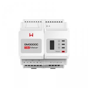 GoodWe GM3000C